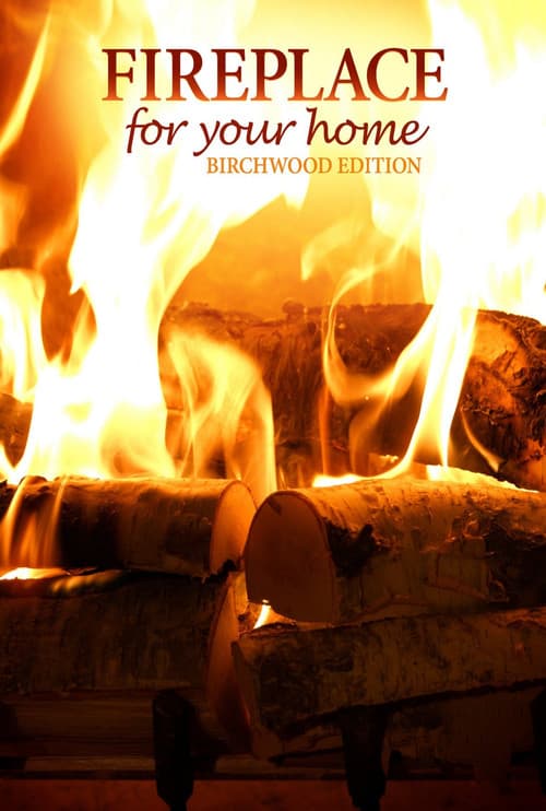 Fireplace for Your Home Crackling Birchwood