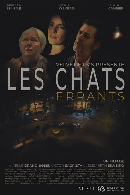 Les chats errants