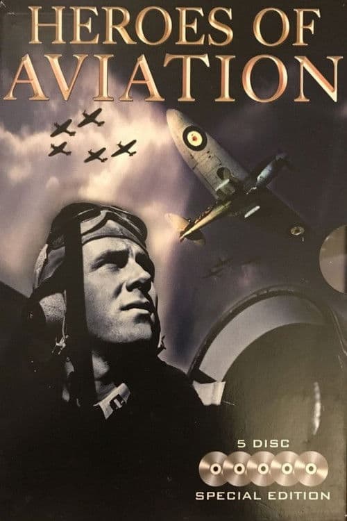 Heroes of Aviation: Against All Odds