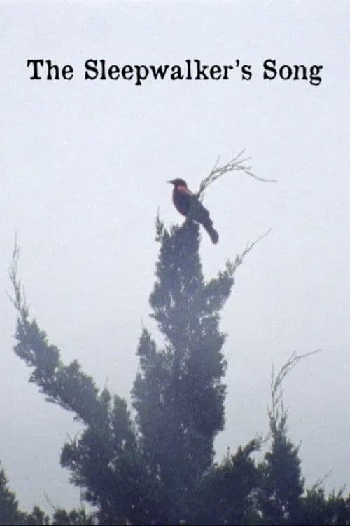 The Sleepwalker's Song