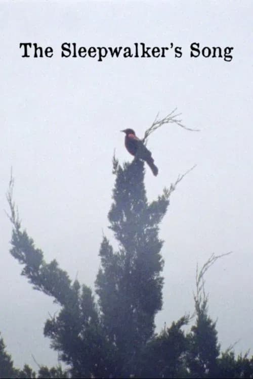 The Sleepwalker's Song