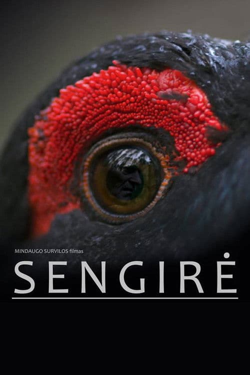 Sengirė