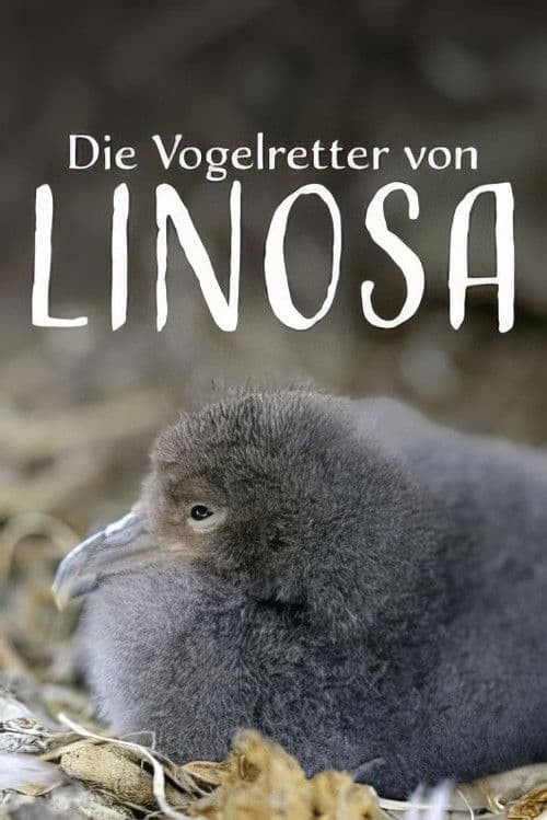 Die Vogelretter von Linosa