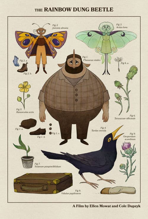 Gâdacul de bălegar multicolor