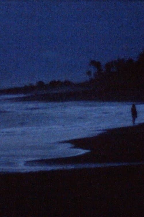 A conversation with the ocean