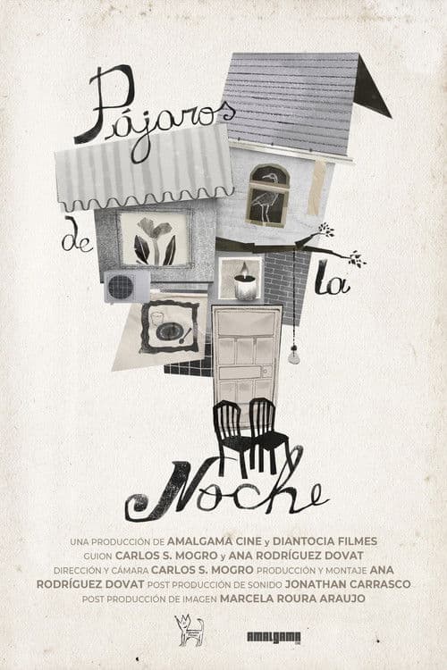 Pájaros de la noche