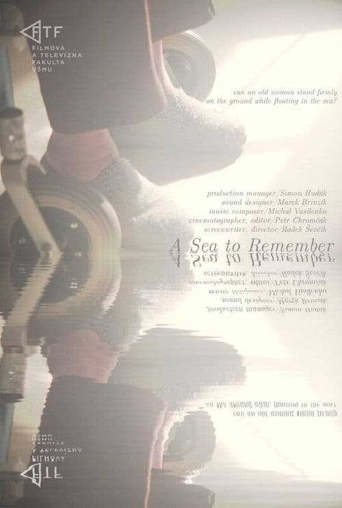 Pohádka o cestě k moři