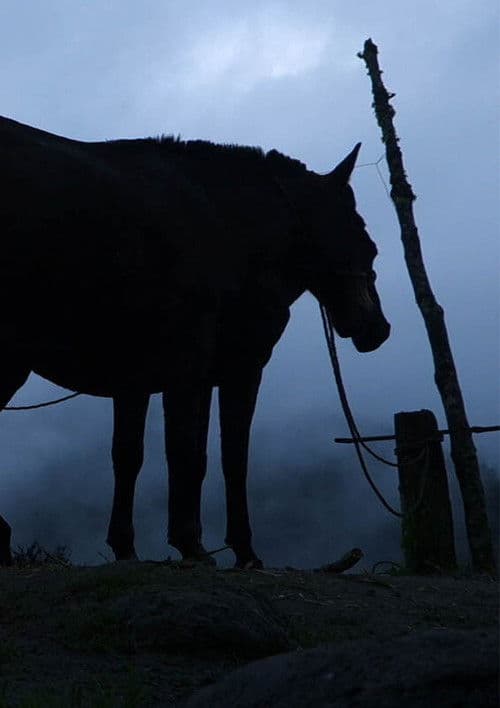 Les oeufs aussi ont un angle