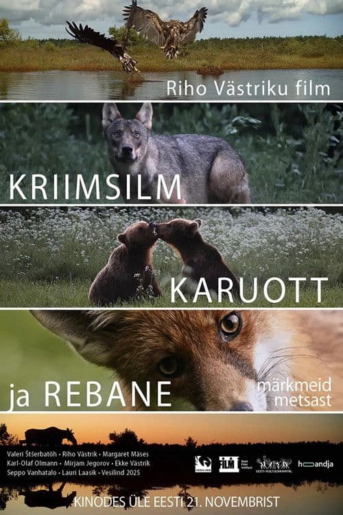 Kriimsilm, karuott ja rebane. Märkmeid metsast
