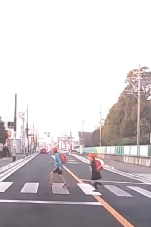 About Constitutional Wildcard