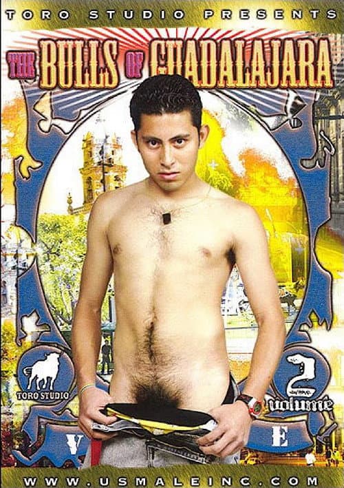 The Bulls of Guadalajara 2
