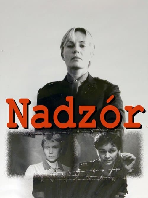 Nadzór