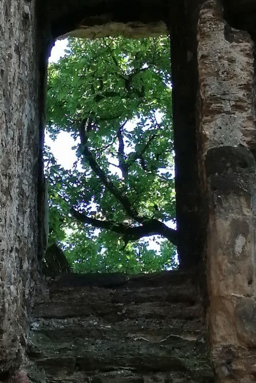 Les ruines du château de Seyssuel