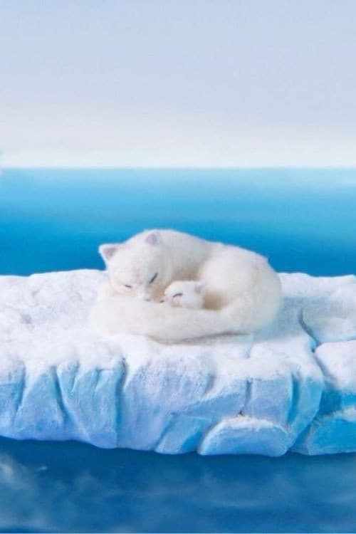 The Boy Who Cheated Death