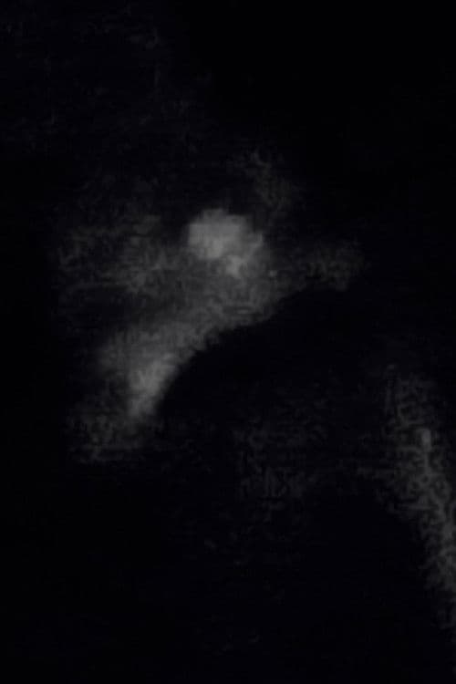 ราตรีวงกต