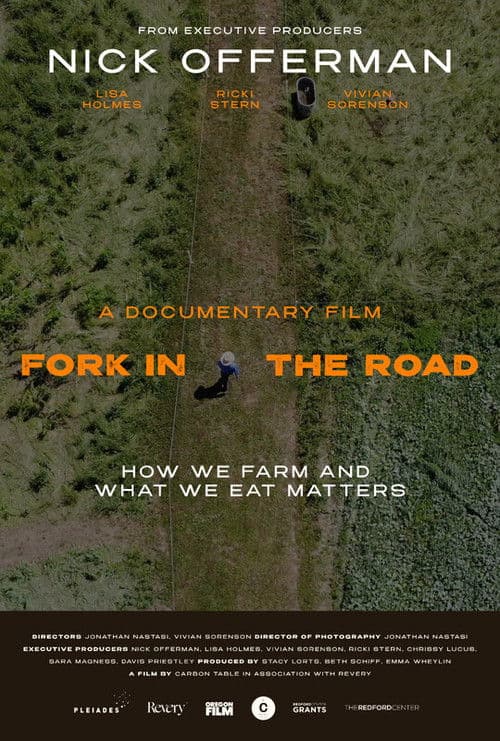 Fork in the Road