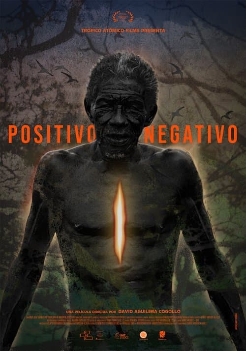 Positivo Negativo