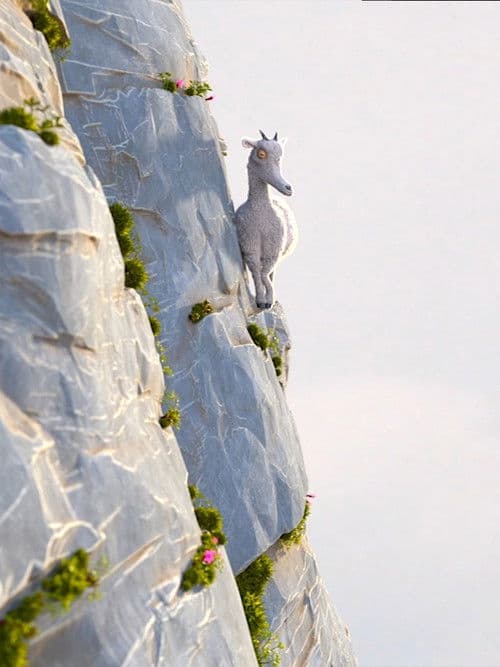 La légende de la chèvre qui connaissait le vrai sens de la montagne