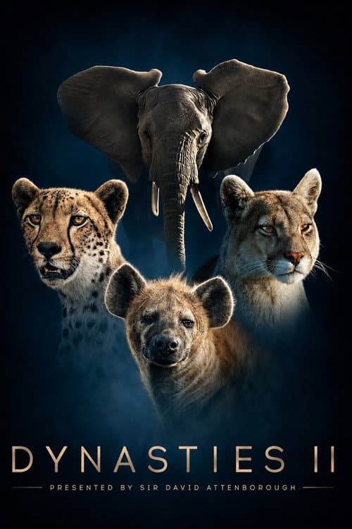 Dynasties II