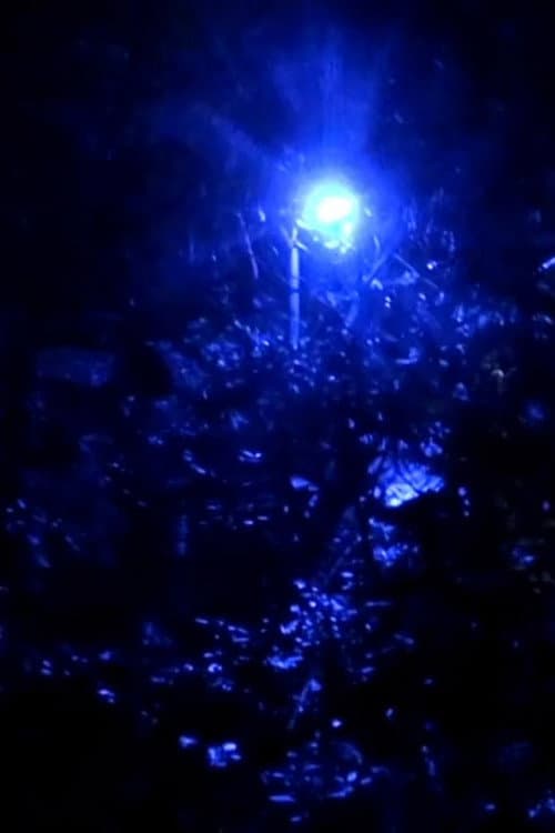 À partir de maintenant