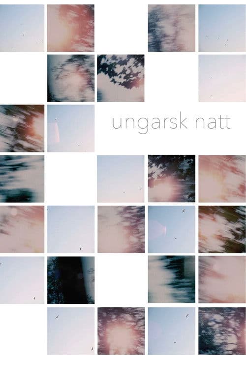 Ungarsk natt