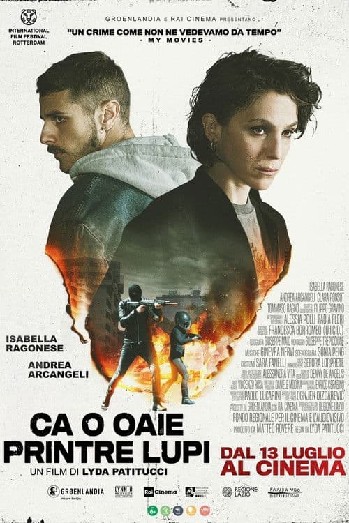 Come pecore in mezzo ai lupi