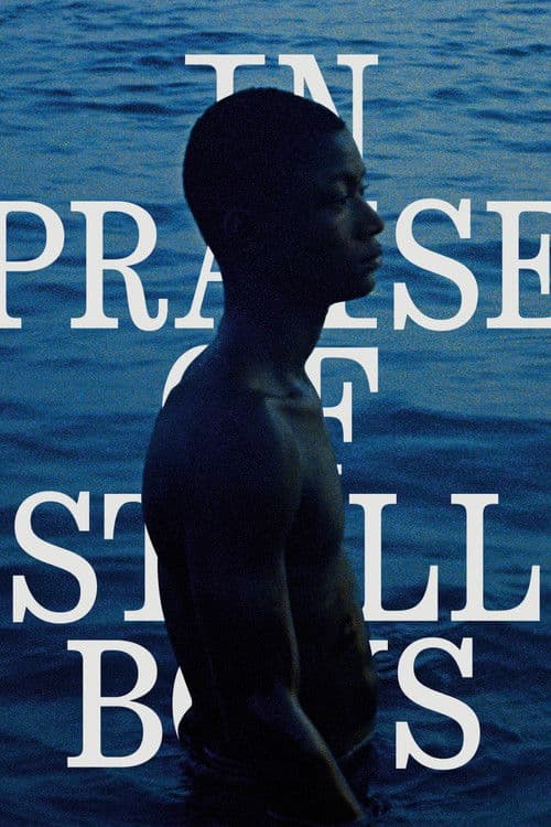 In Praise of Still Boys