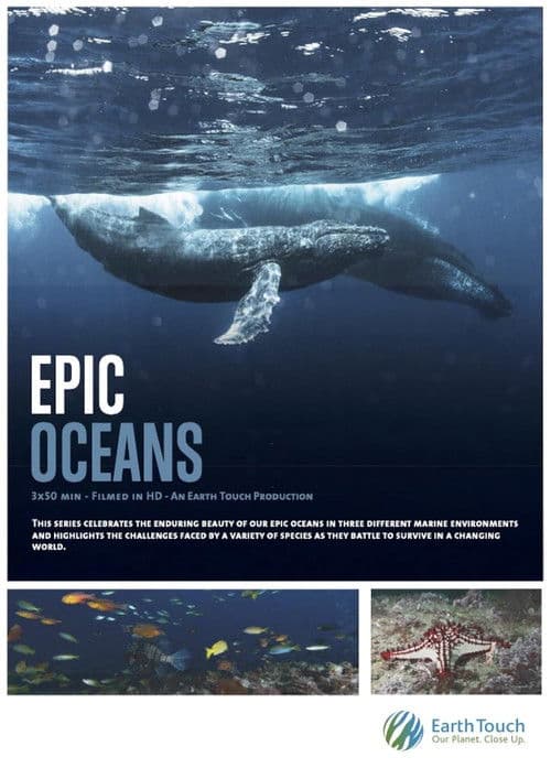 Epic Oceans
