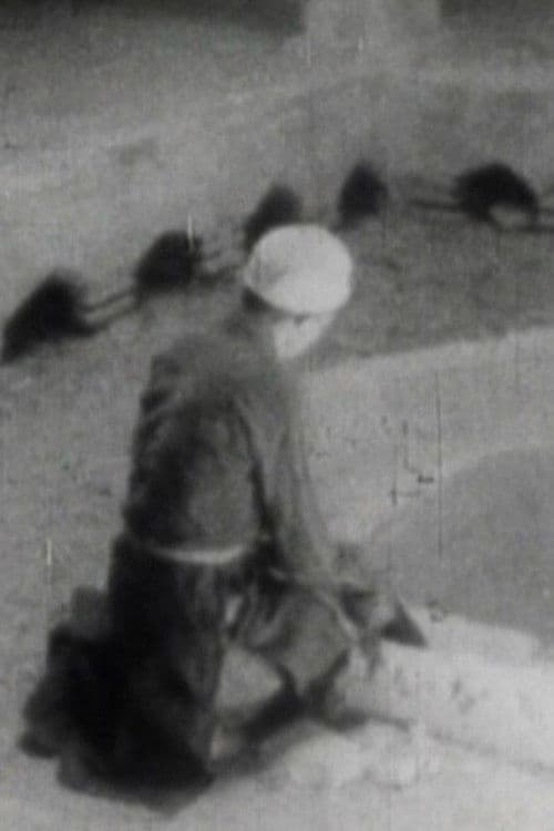 از اصفهان تا ابرقو