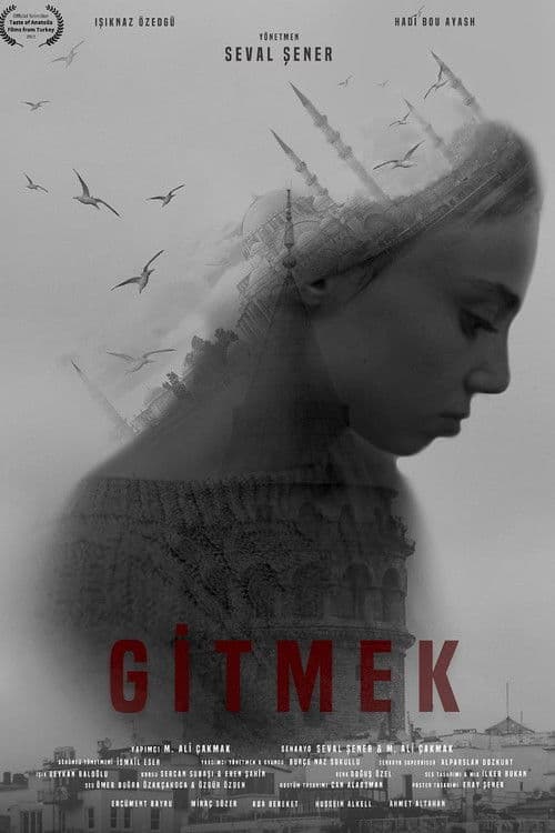 Gitmek