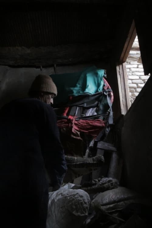 شكوى البقرة