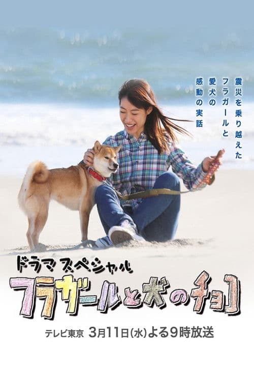 フラガールと犬のチョコ