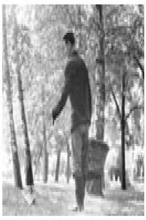 Весници, весници