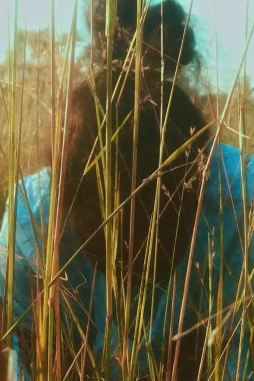 Ngupelngamarrunu, Night Time Go