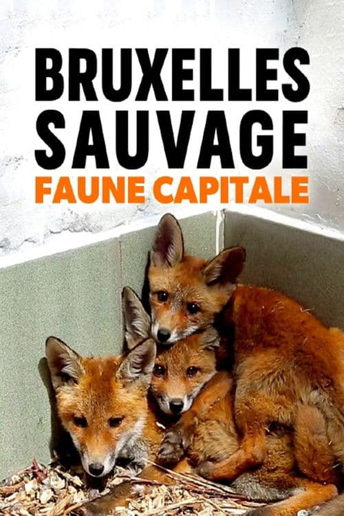 Bruxelles Sauvage - Faune Capitale