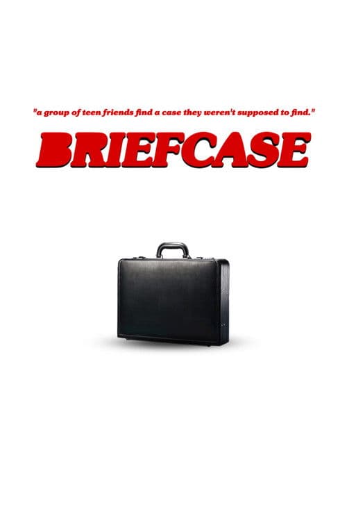 Briefcase