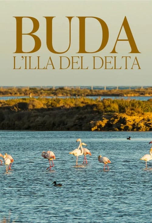 Buda, l'illa del Delta