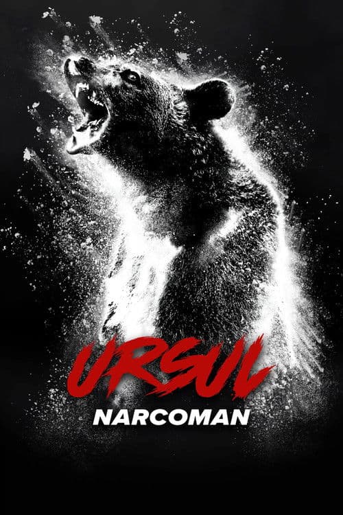 Ursul narcoman