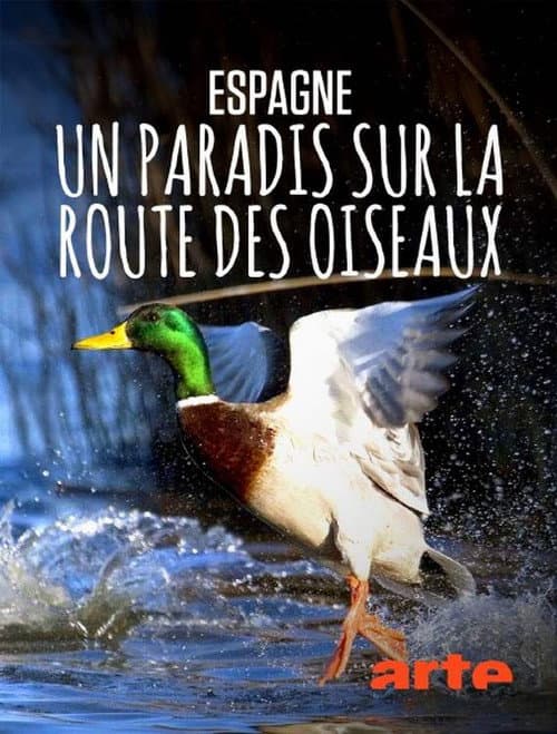 Espagne : un paradis sur la route des oiseaux