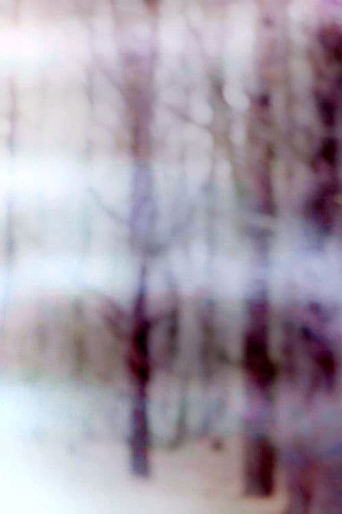 i weep for this place that is lost to me forever