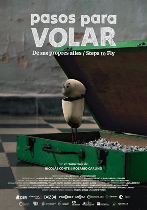 Pasos para volar