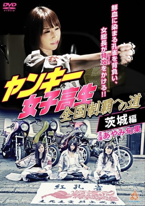 ンキー女子高生　全国制覇への道　茨城編
