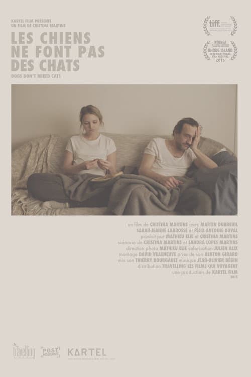 LES CHIENS NE FONT PAS DES CHATS