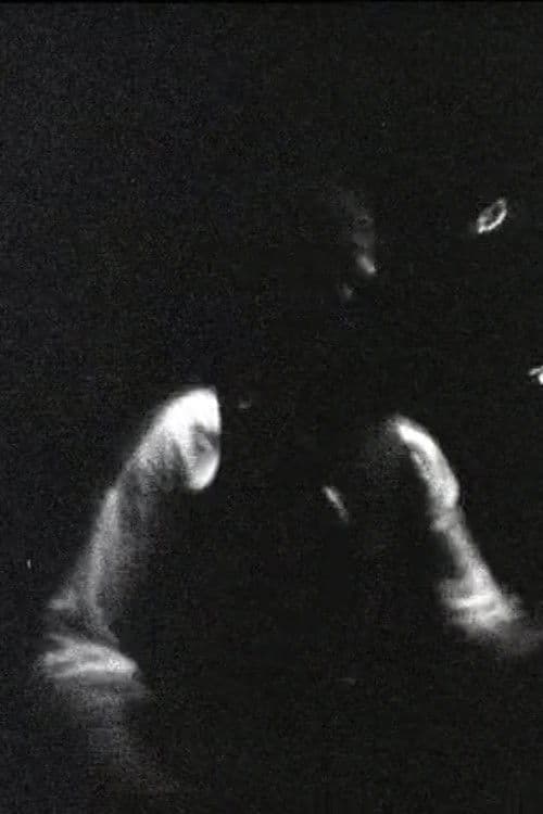 Blonde Redhead Meets Gainsbourg – Spring & by Summer Fall