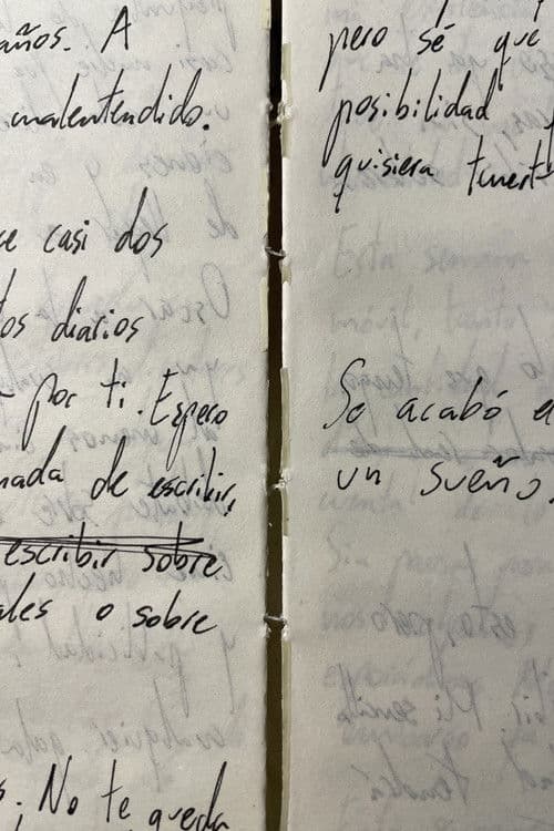 Releyendo mi diario (Autorretrato)