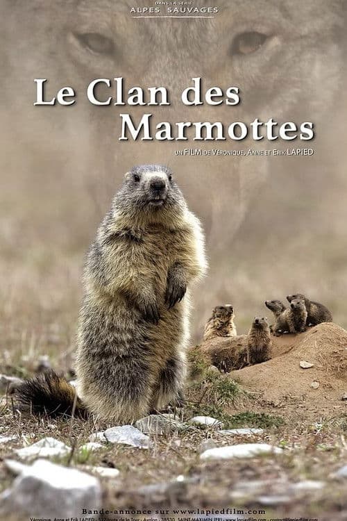 Le Clan des Marmottes