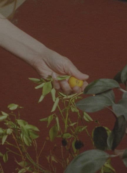 Barefoot Birthdays on Unbreakable Glass