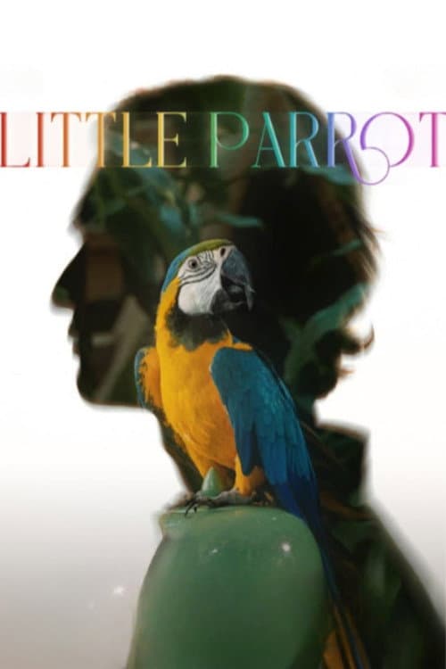 Little Parrot