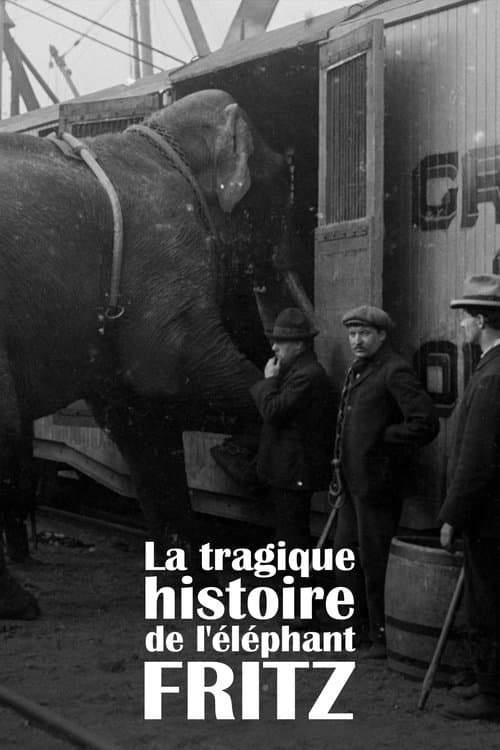 La Tragique Histoire de Fritz l'éléphant