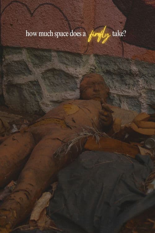 How Much Space Does A Firefly Take?